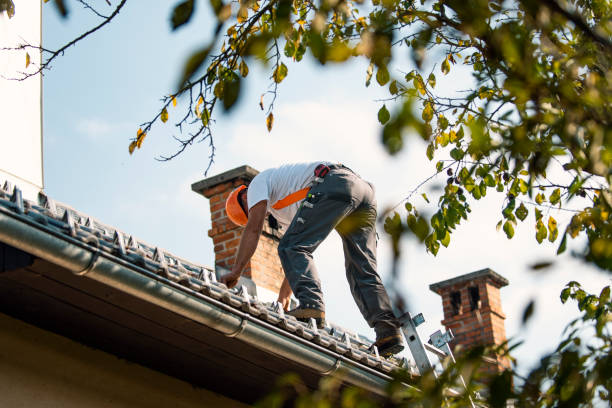 Best Gutter Installation and Roofing  in Palmyra, WI