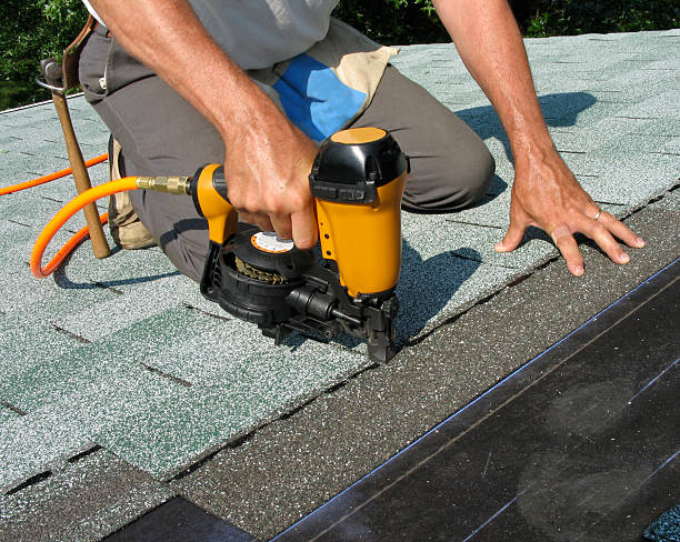 Best Roof Gutter Cleaning  in Palmyra, WI