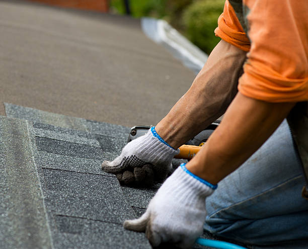 Best Commercial Roofing Services  in Palmyra, WI