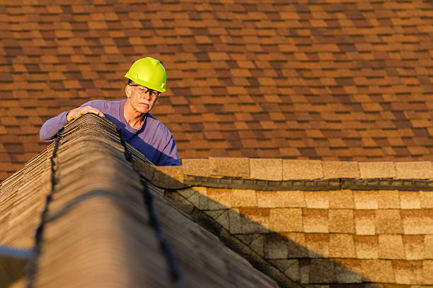 Best Storm Damage Roof Repair  in Palmyra, WI