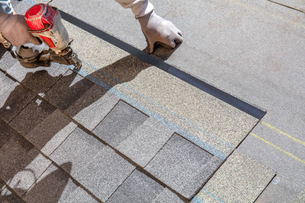 Best Metal Roofing Contractor  in Palmyra, WI