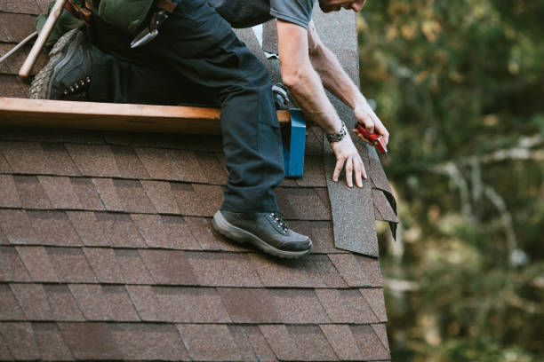 Best Roof Maintenance Services  in Palmyra, WI